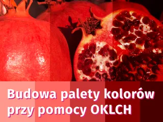 Budowa palety kolorów przy pomocy OKLCH